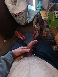 Himachali_bull_27 anteprima della webcam
