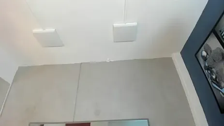 immagine stream di Charlie___Musk