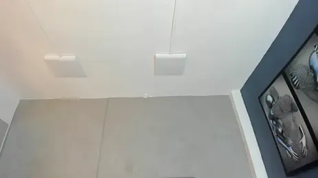 immagine stream di Charlie___Musk