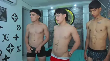 UrSecretBoys anteprima della webcam