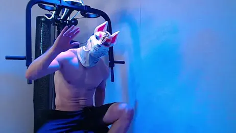 immagine stream di ivoxiz