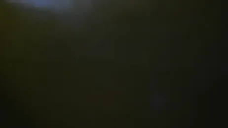 bialoba7 anteprima della webcam