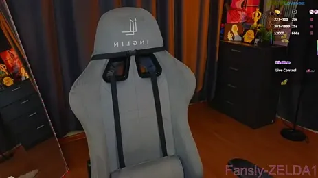 immagine stream di zelda_1